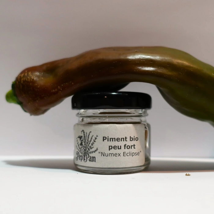 Piment Numex Eclipse