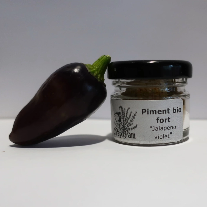 Piment Jalapeno Pourpre